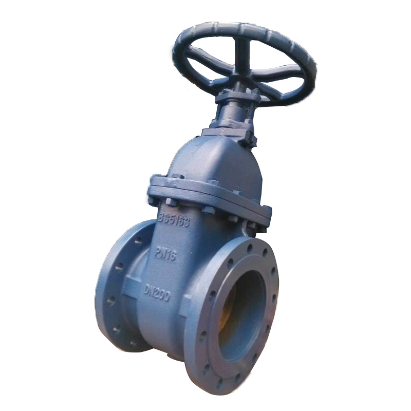 Bs Cast Iron Non Rising Stem Gate Valve Tsunny Group