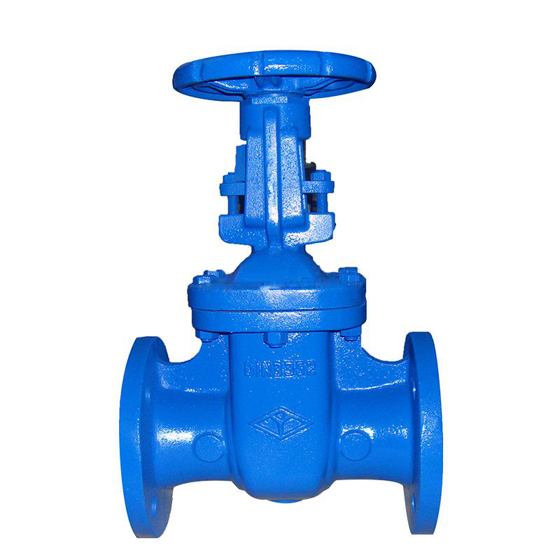 DIN F5 Cast Iron Rising-Stem Gate Valve - Tsunny Group